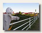 Scarecrows on the way to the store in Kakegawa. IMG_5979